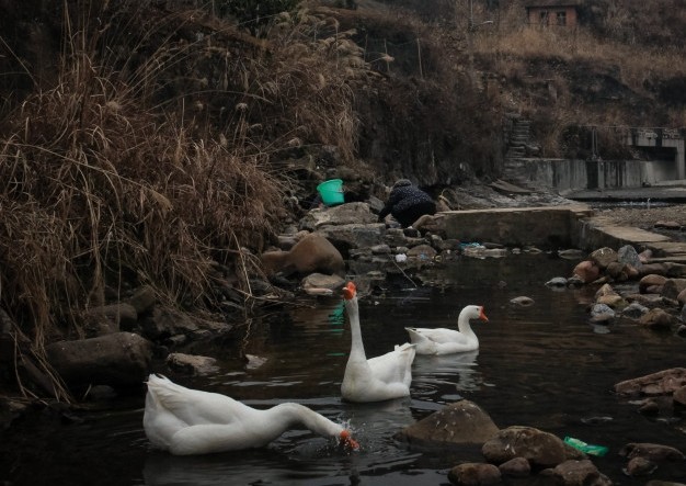 6ϺͲʷ¼2012119գ